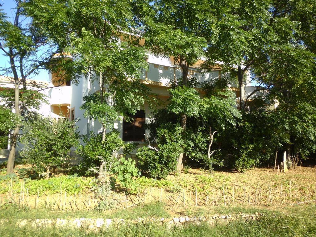 Apartments Kresimir Beauty With Shadow Trees And Parking Place Pag Town Zimmer foto