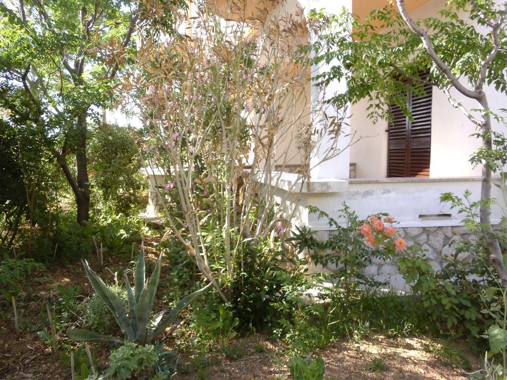 Apartments Kresimir Beauty With Shadow Trees And Parking Place Pag Town Zimmer foto